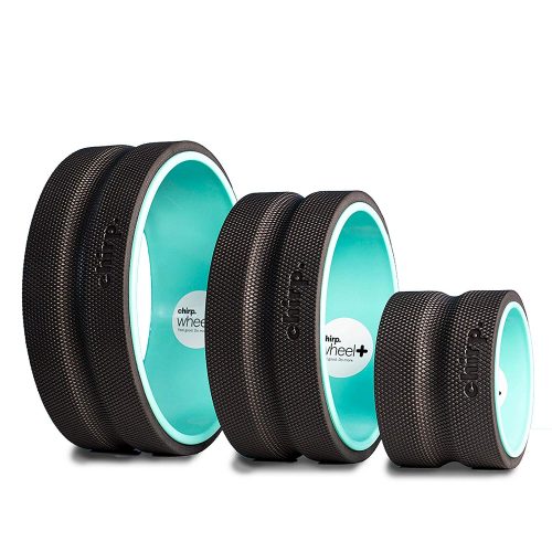chirpwheel