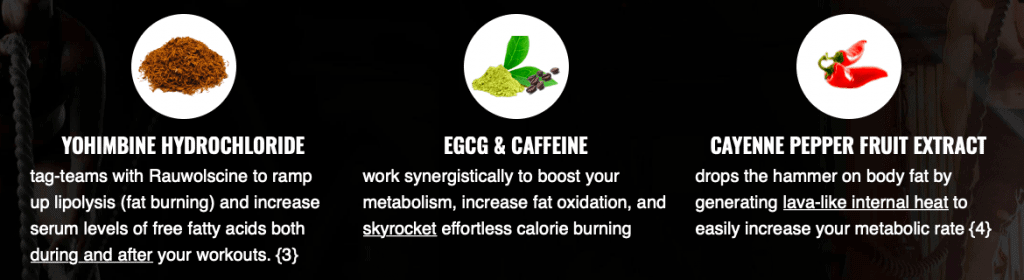 Sculpt-Nation-Fat-Burner-Supplement-Ingredient