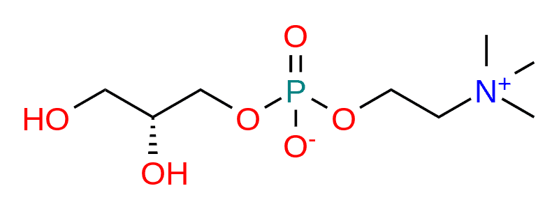 alpha-gpc
