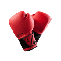 Boxing gloves