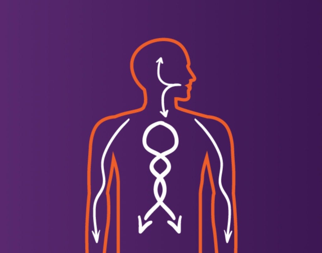 Total-Life-NutraBurst-Liquid-Multivitamin-Benefits
