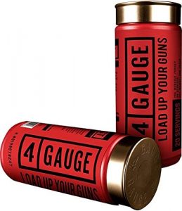 4 Gauge