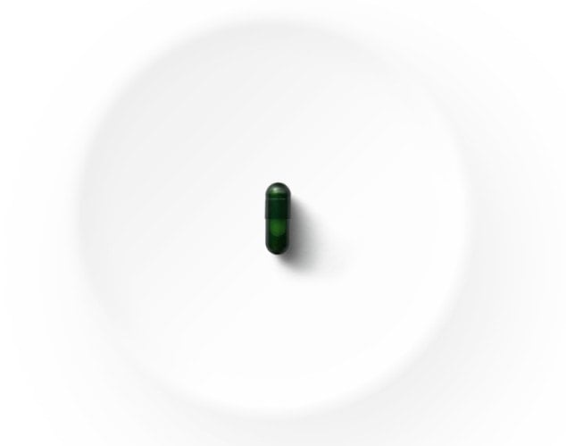 Seed Probiotic
