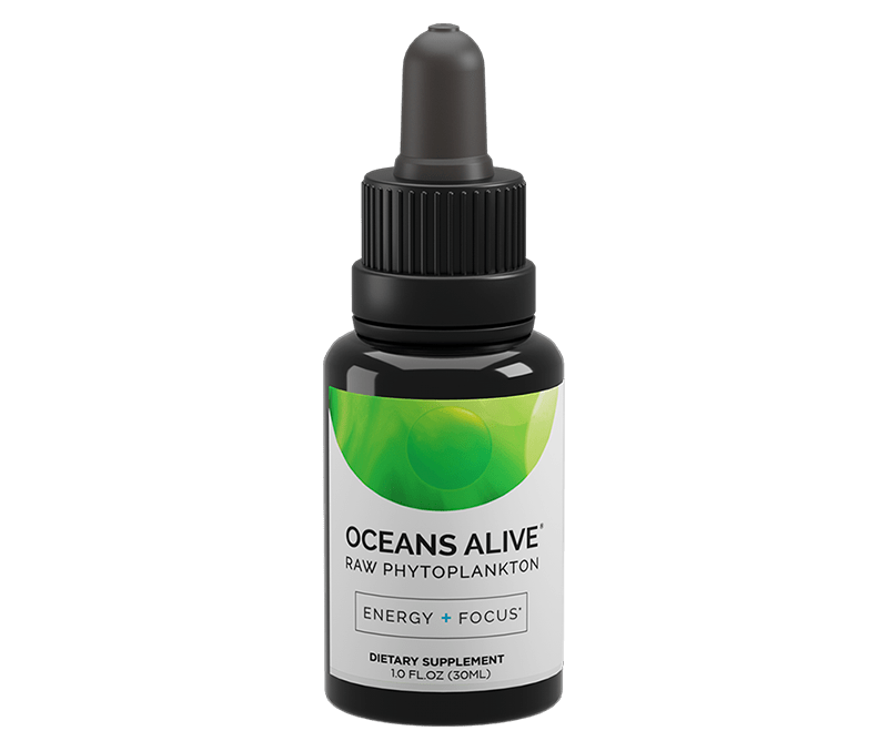 Oceans Alive by Activation