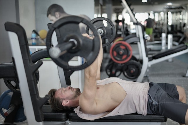 weight training statistics build lean muscle mass
