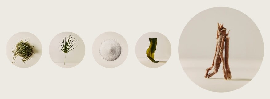 moon juice superhair ingredients