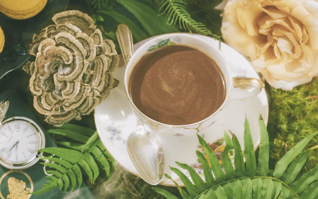 Beyond Brew Mushroom Coffee Alternative