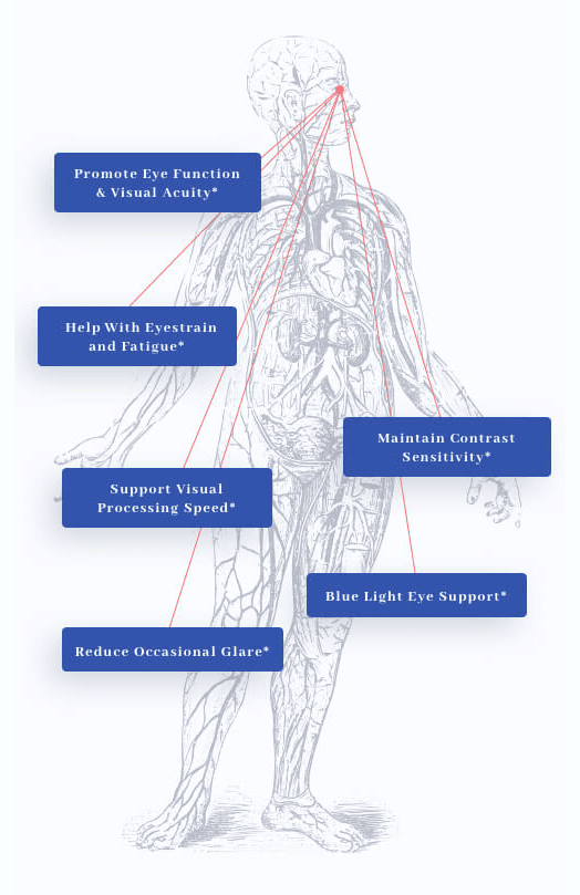 VisionMD Benefits