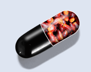 VisionMD Pill Capsule