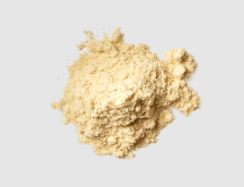 Promix Protein Powder Scoop